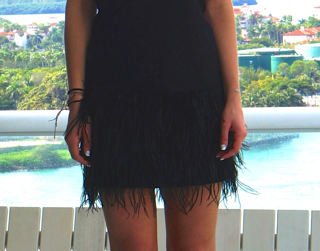 Free people mia flapper dress. feather dress